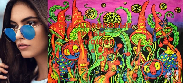 ECSTASY Заволжье