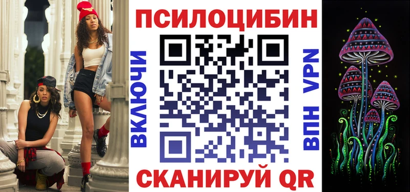 Псилоцибиновые грибы Psilocybe Купить где Кедровый