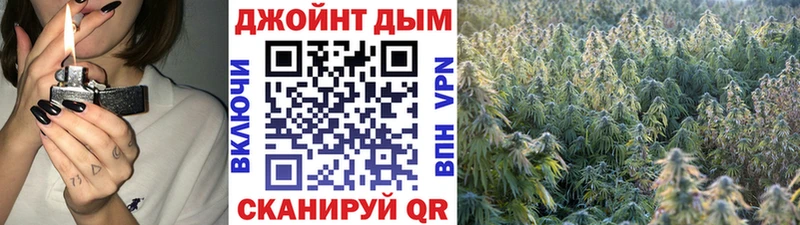 Купить закладки  Кедровый  Канабис Ganja 